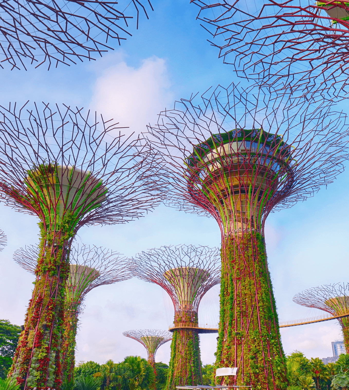 Gardens by the Bay