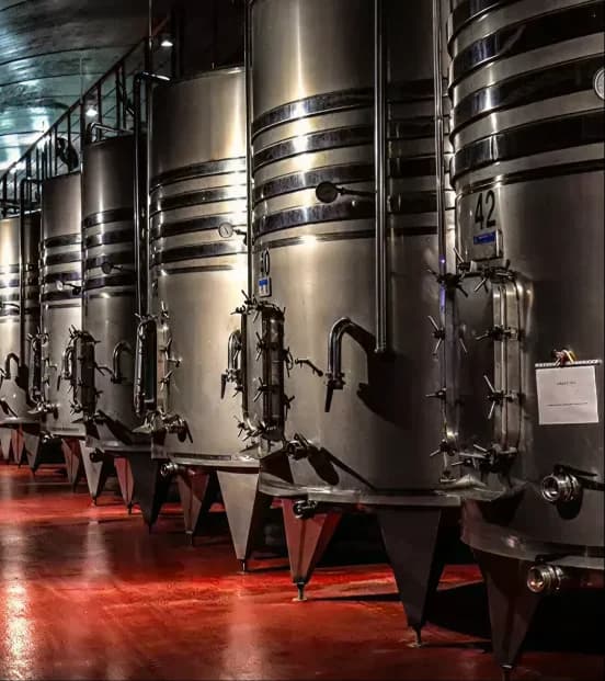 Precision Fermentation of Dairy