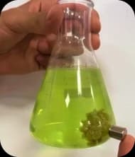 Growing Reach
