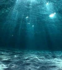 Marine conservation