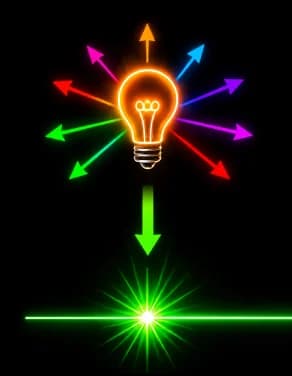 Meet Holography