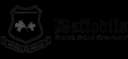 School logo