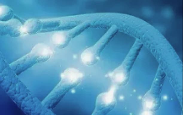 Protein in DNA