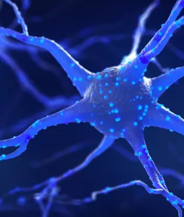 Neuron signals