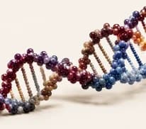 Why Use DNA?