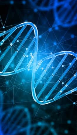 How A Photo Becomes DNA?