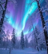 Auroras