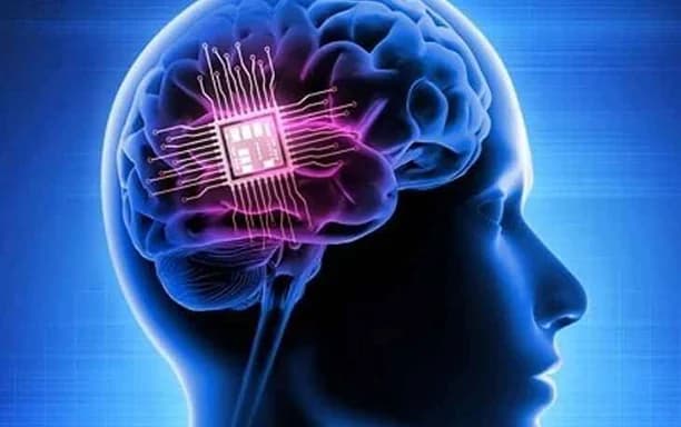 Brain inspired design