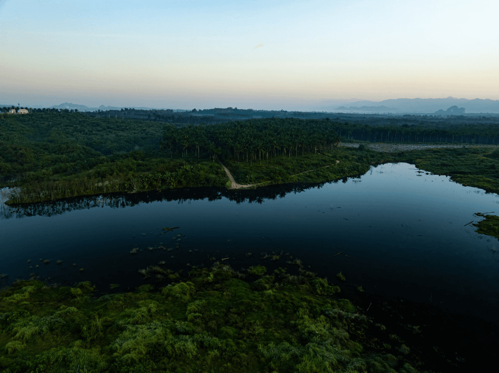 Bioremediation