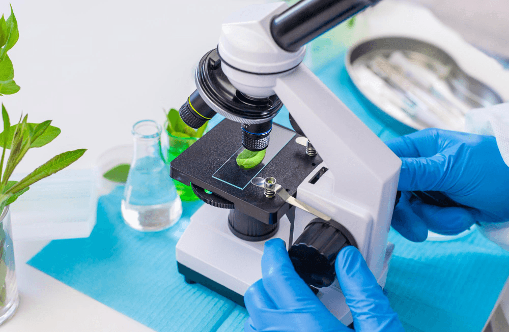 Bioaugmentation