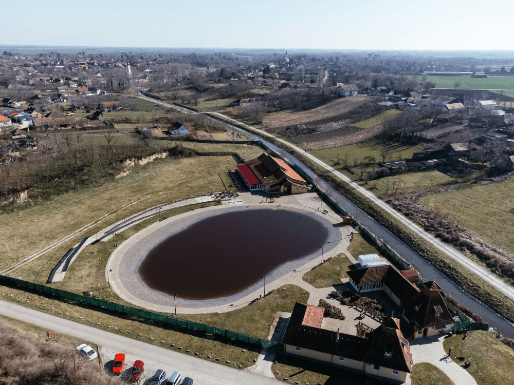 Bioremediation